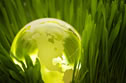 Going green to enhance your employment branding efforts
