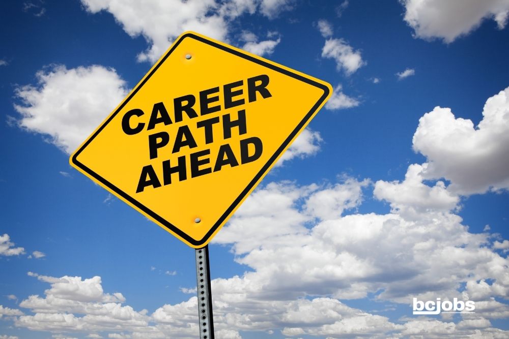 Career Paths You Can Follow With Any Degree